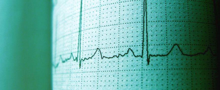 Эхокардиография: когда стоит проверить сердце ребенку и взрослому